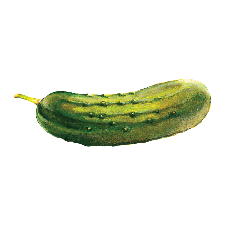 Pickle Tattly Temporary Tattoos