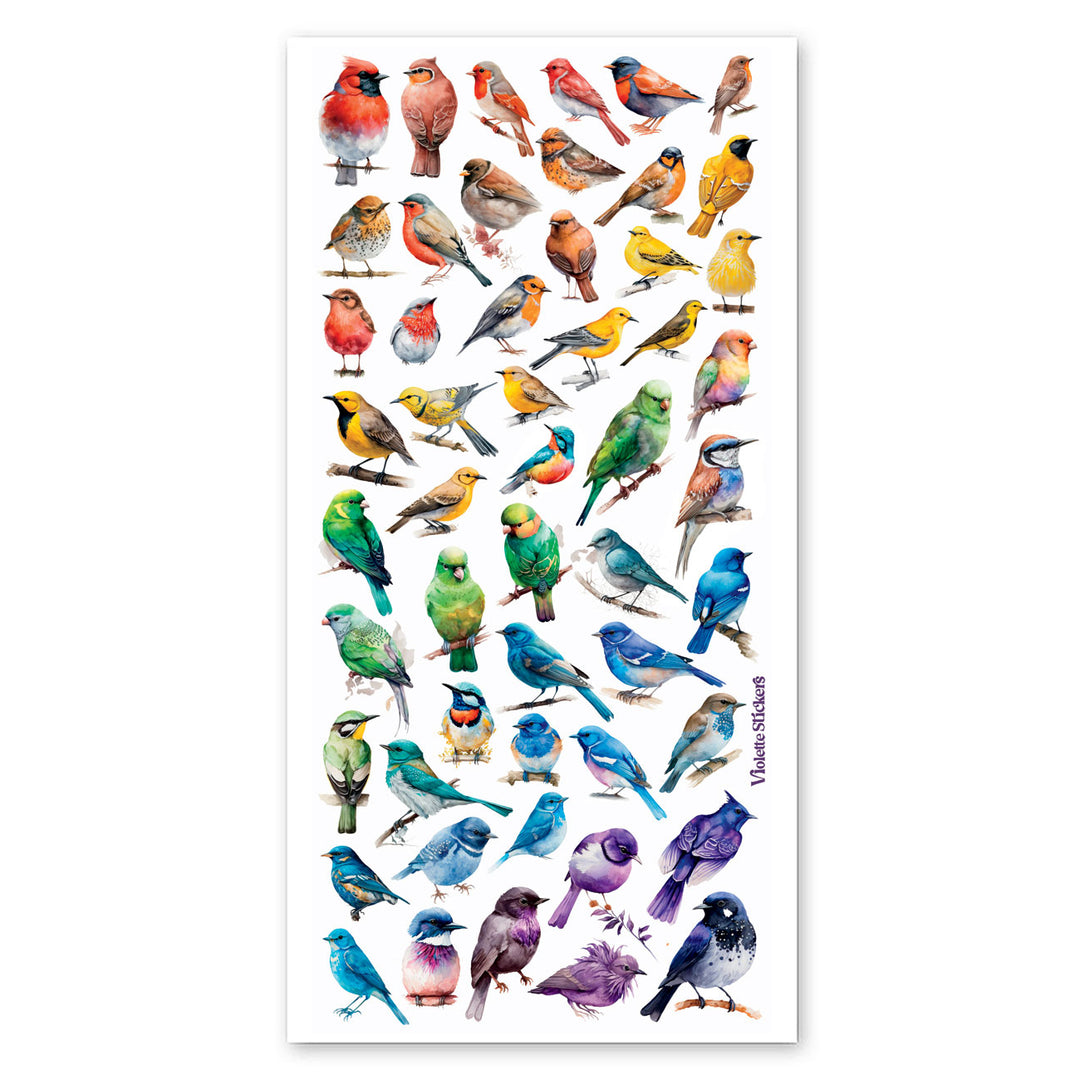 Birds Stickers in Colors of the Rainbow
