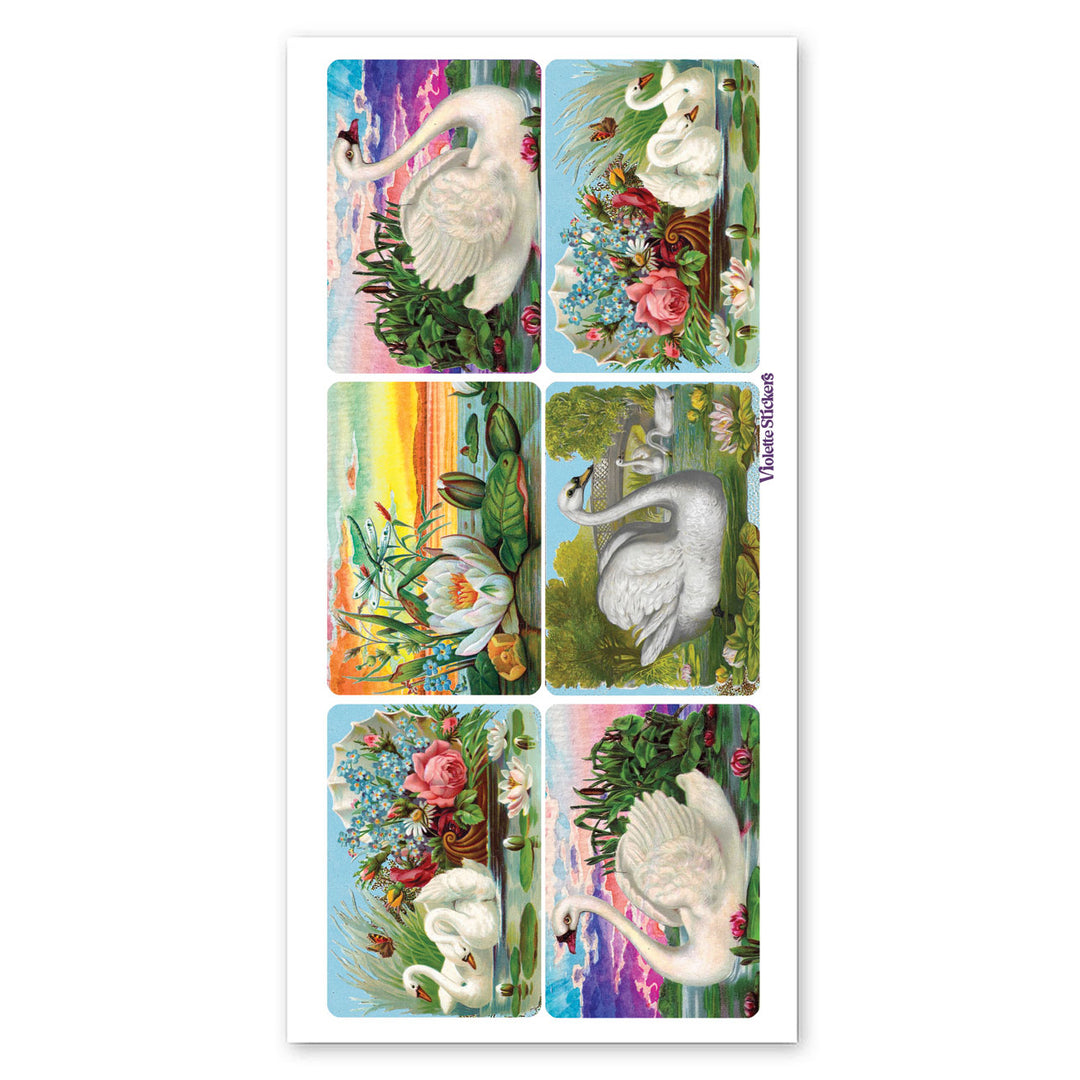 Sunset Swans Stickers
