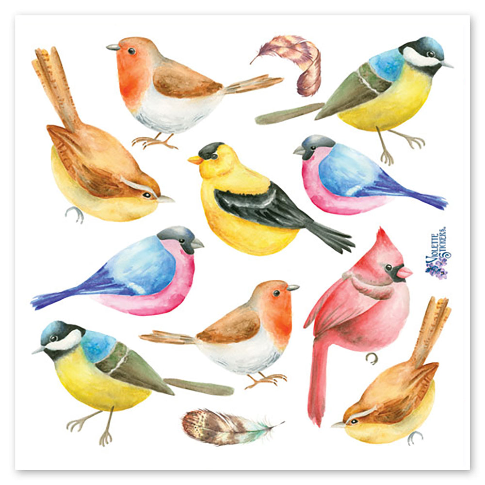 Watercolor Birds Stickers 