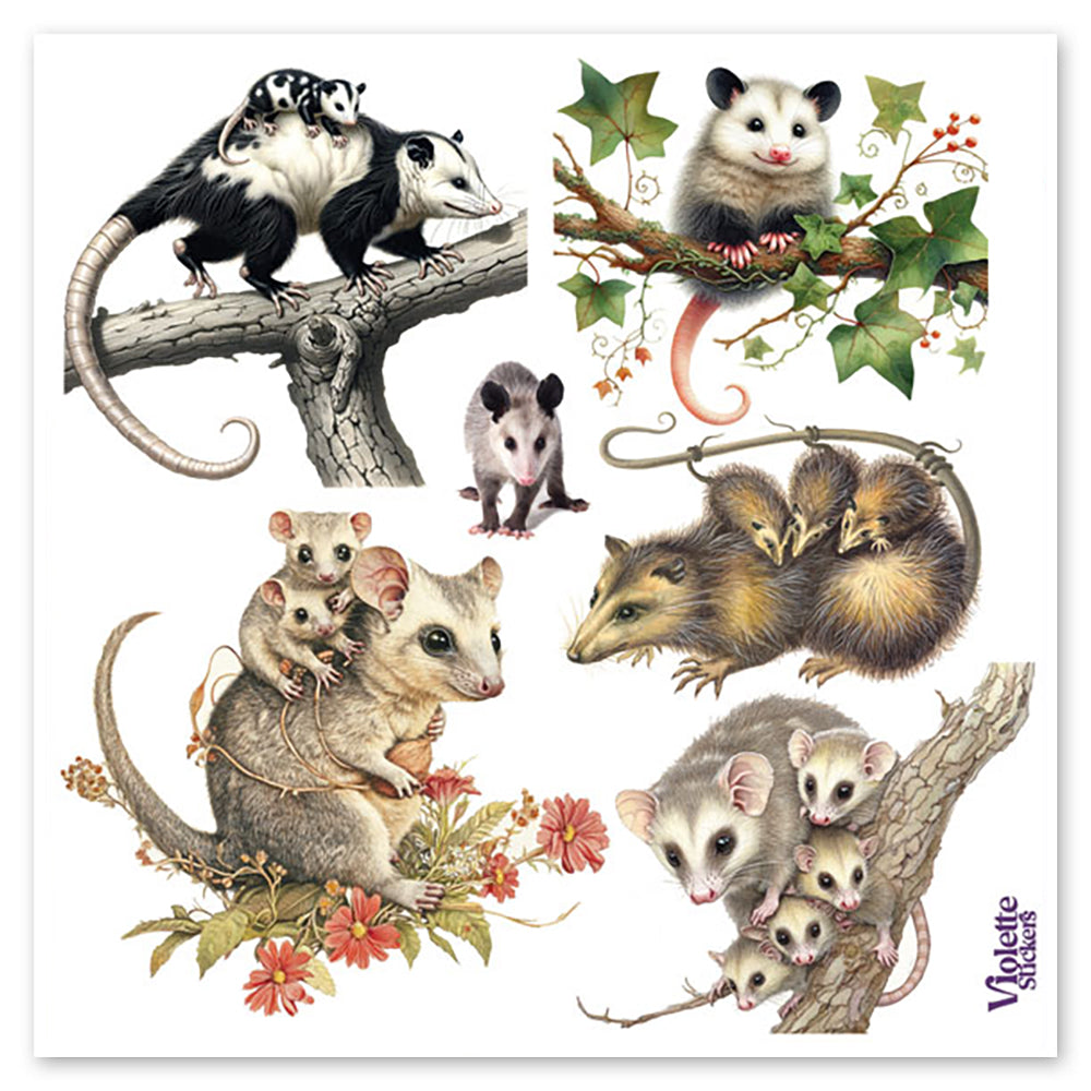 Possums Stickers