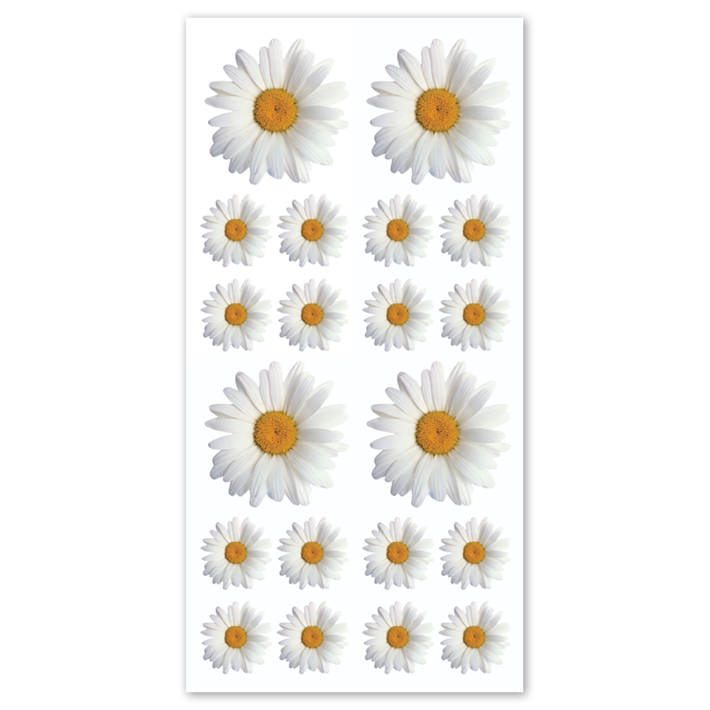 Oxeye Daisy Stickers - Packaged