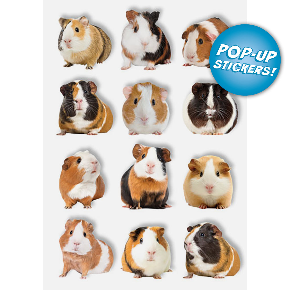 Guinea Pigs Pop-Up 3-D Stickers