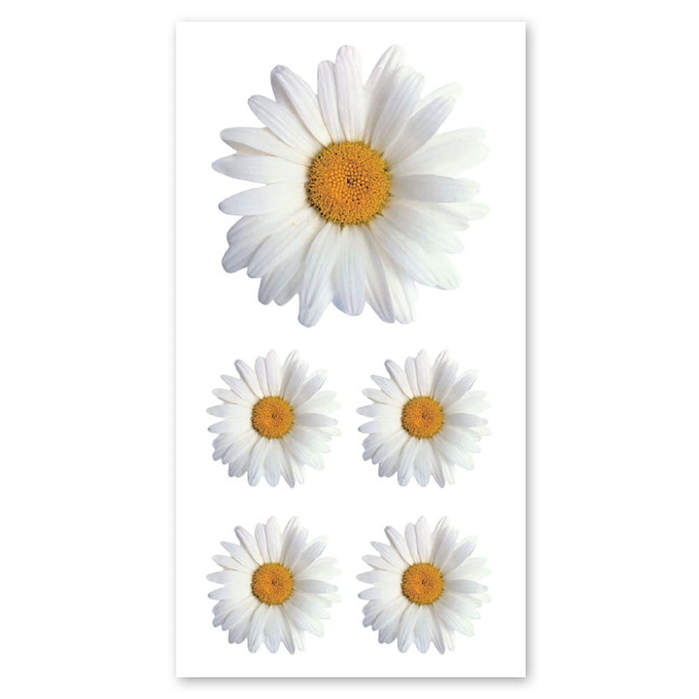 Oxeye Daisy Stickers