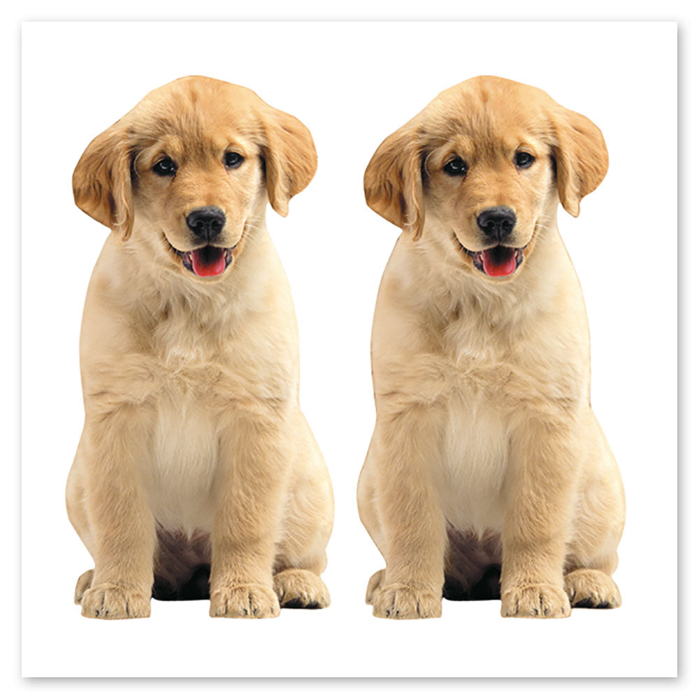 Golden Retriever Puppy Stickers