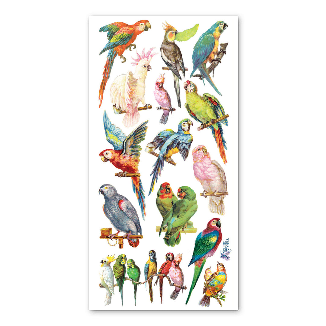 Parrots