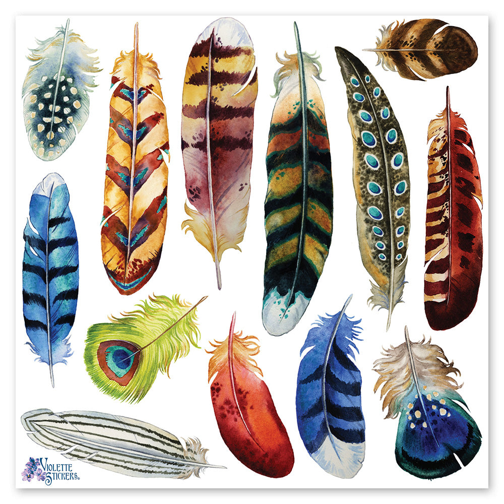 Bold Feathers