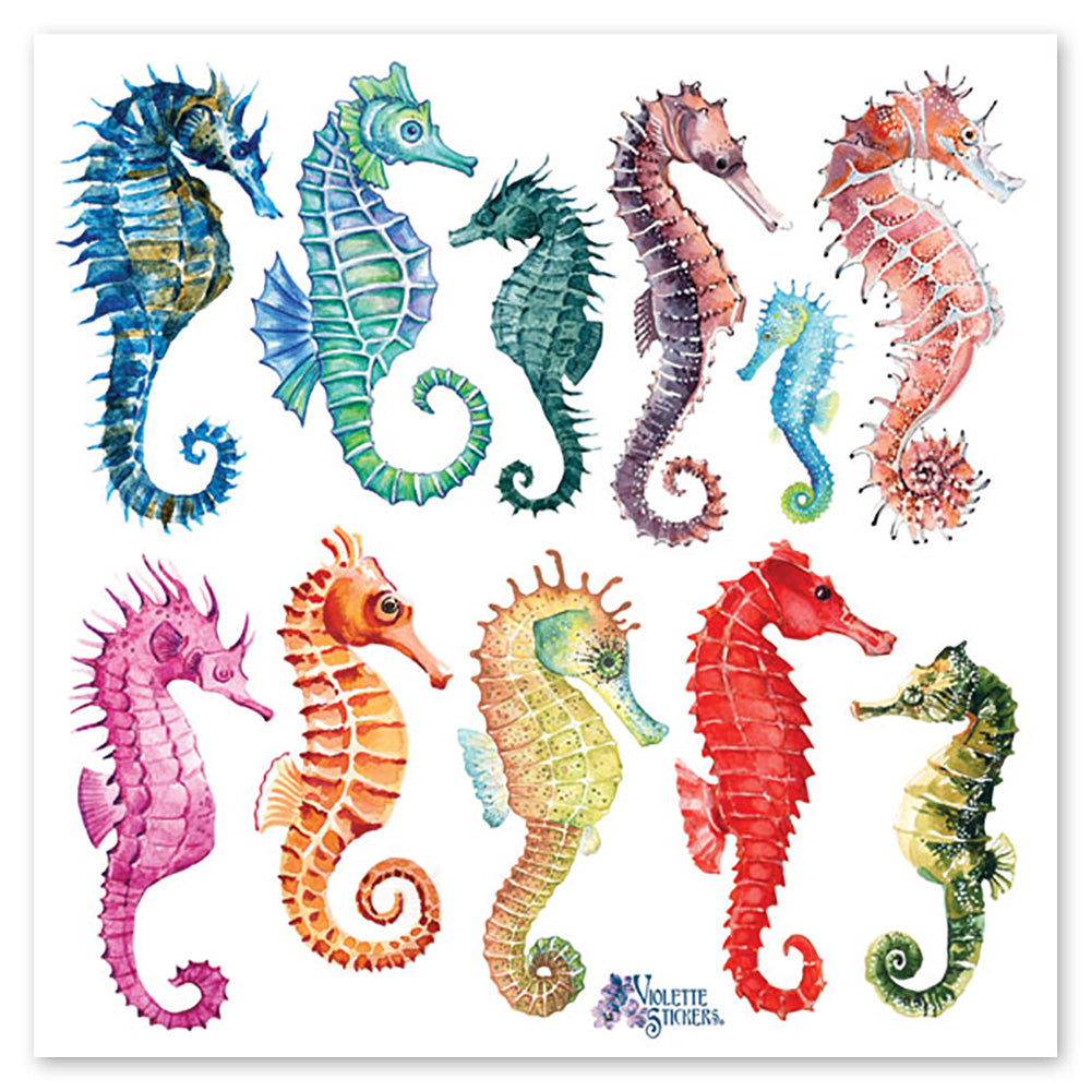Seahorses