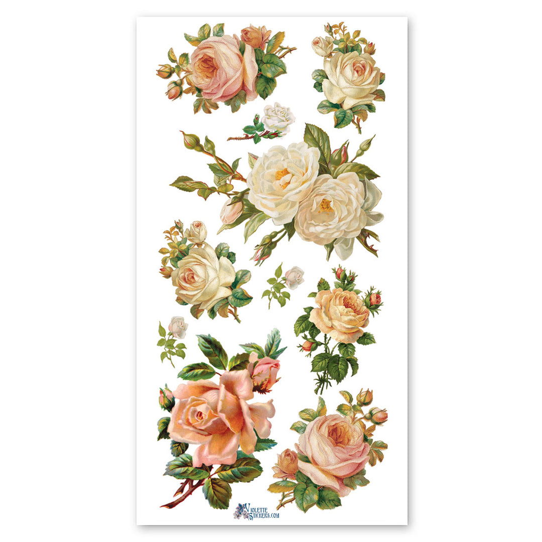 White Roses