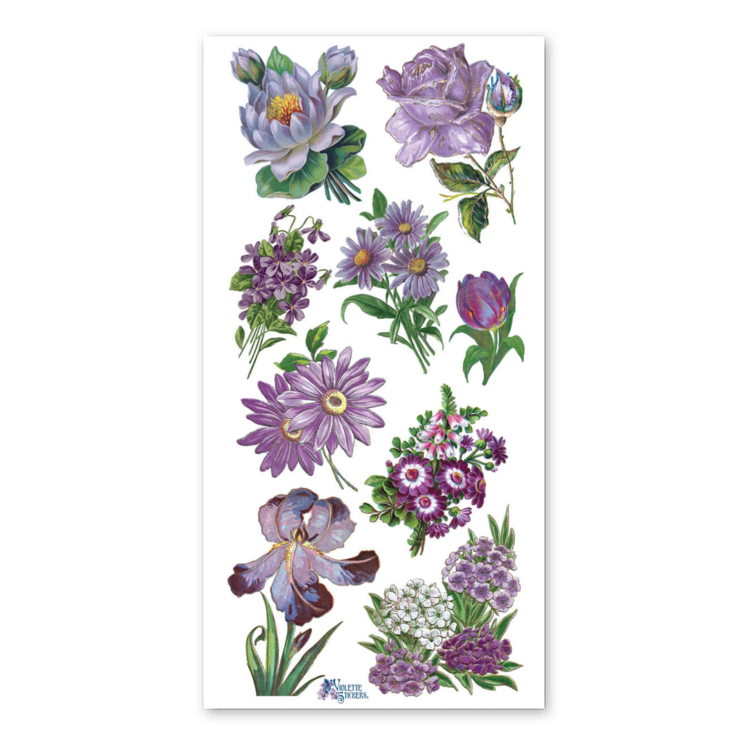 Purple Garden