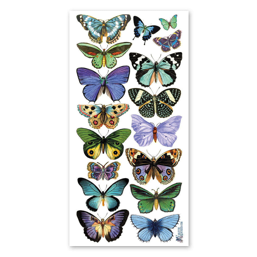 Blue Butterflies