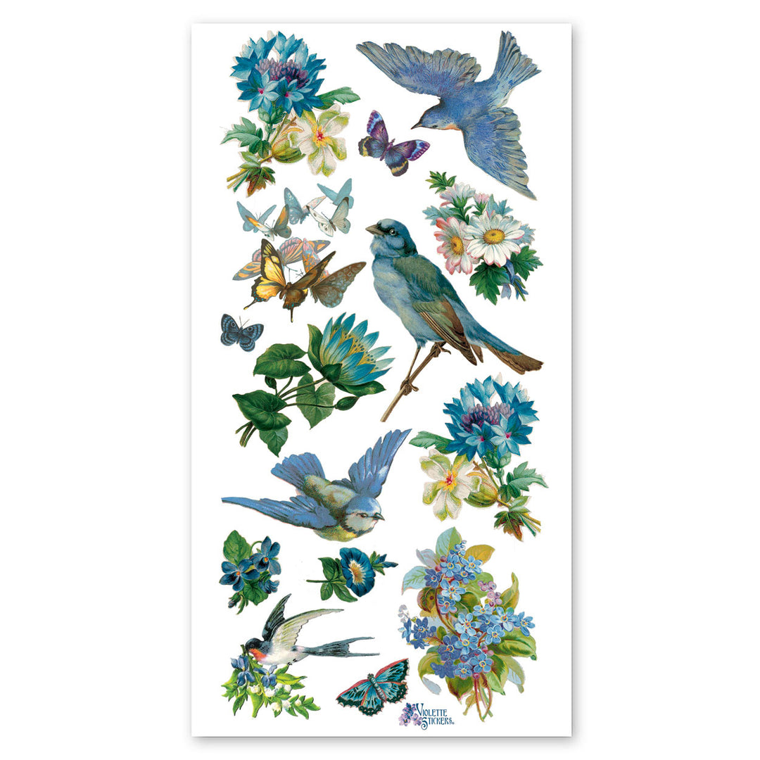 Blue Birds & Flowers