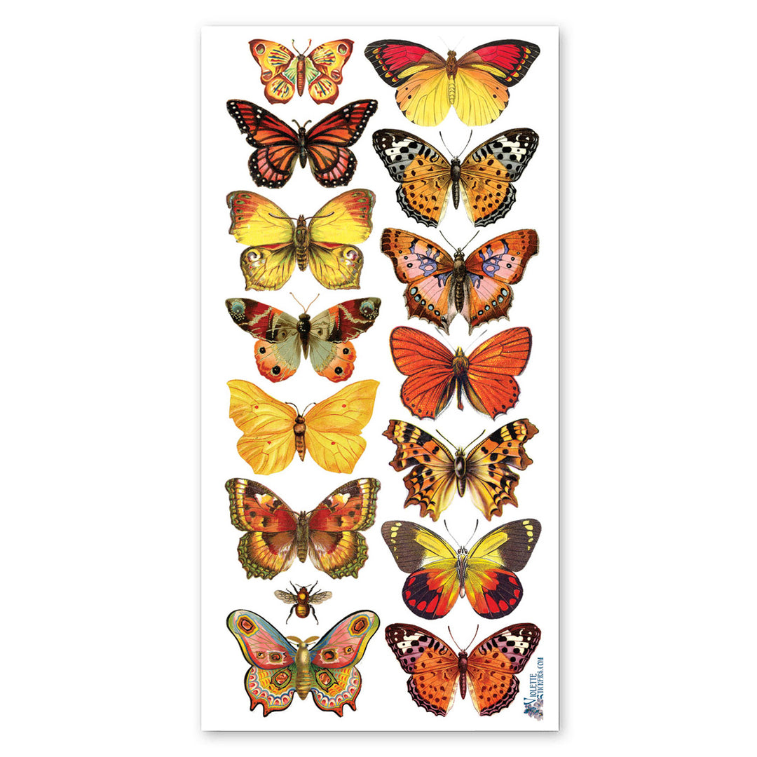 Orange Butterflies