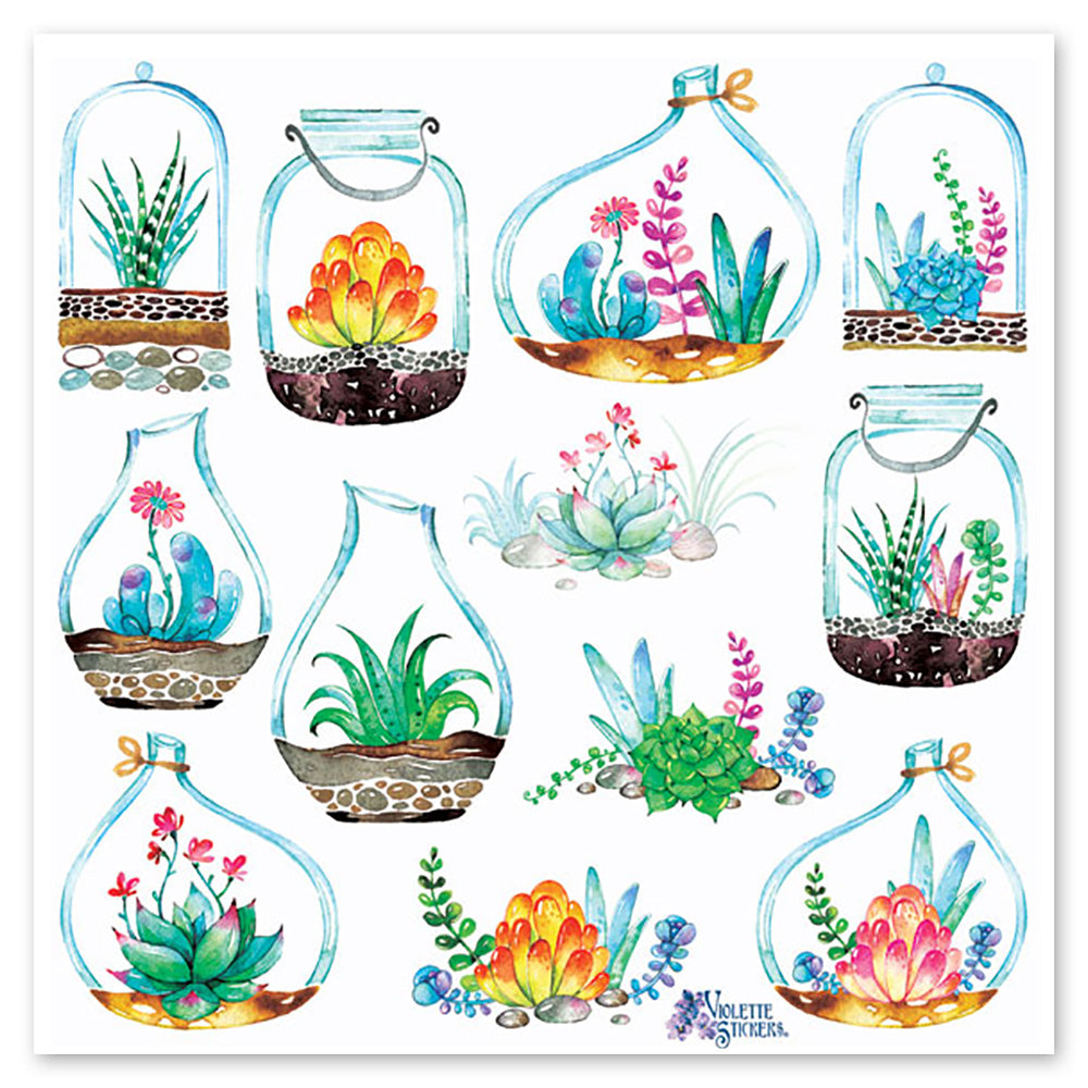 Succulents