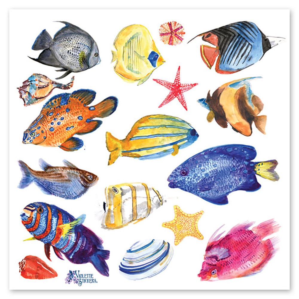 Fish