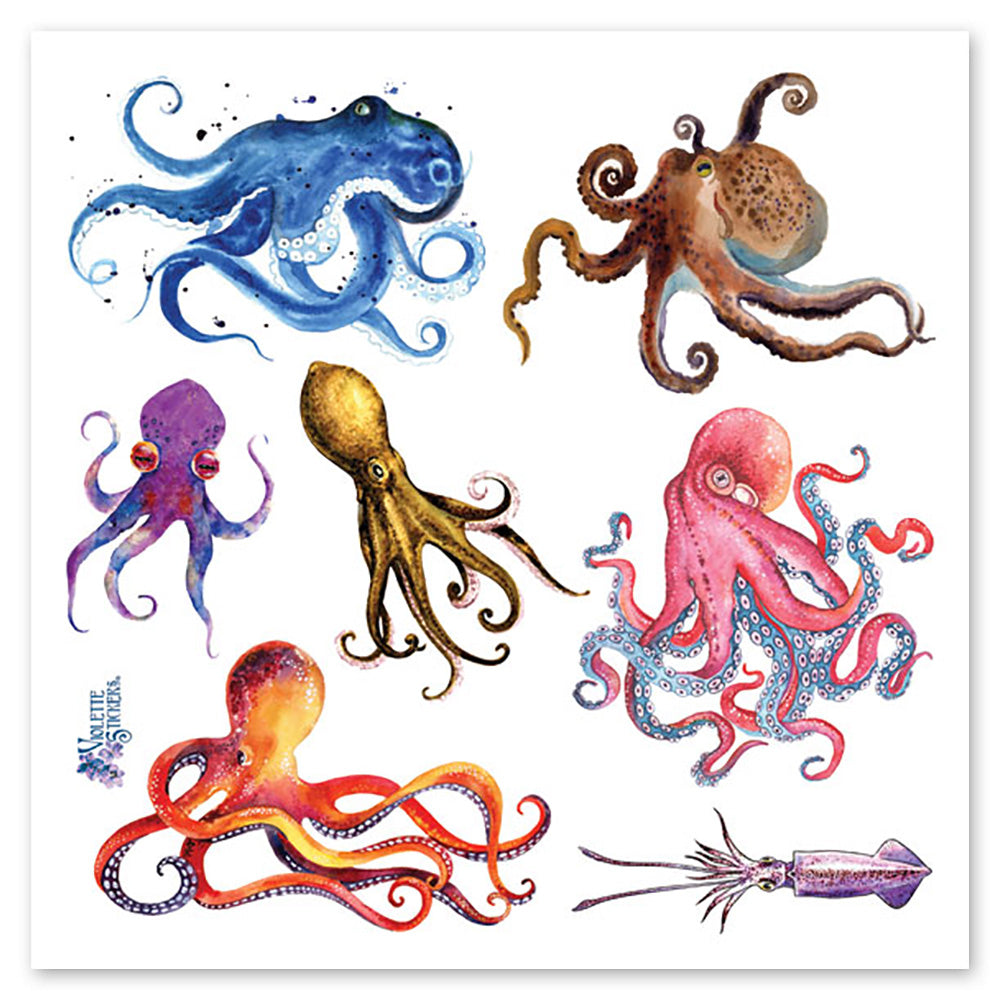 Octopus
