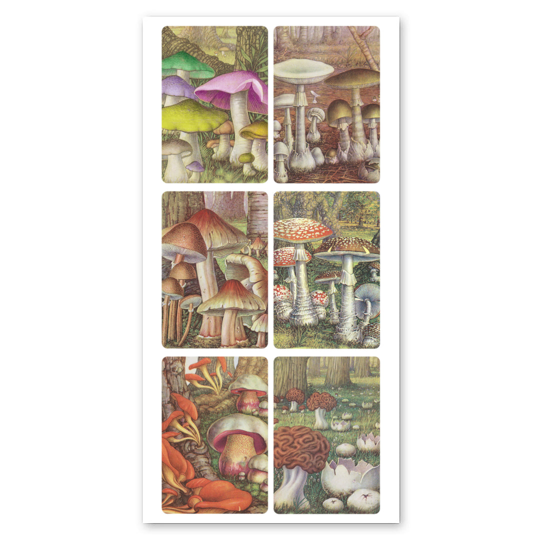 Louis' Mushroom Stickers