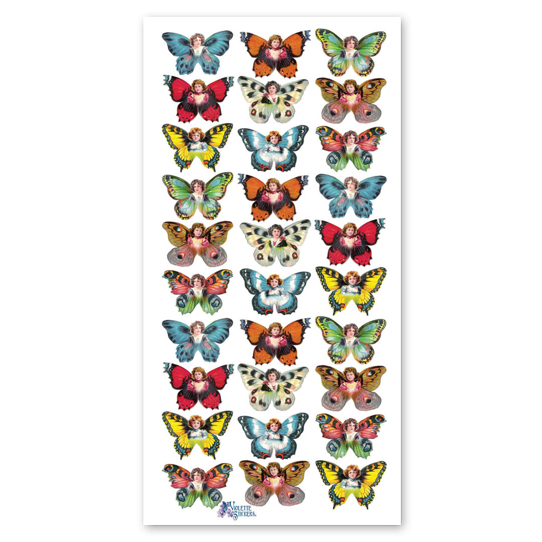 Butterfly Babes