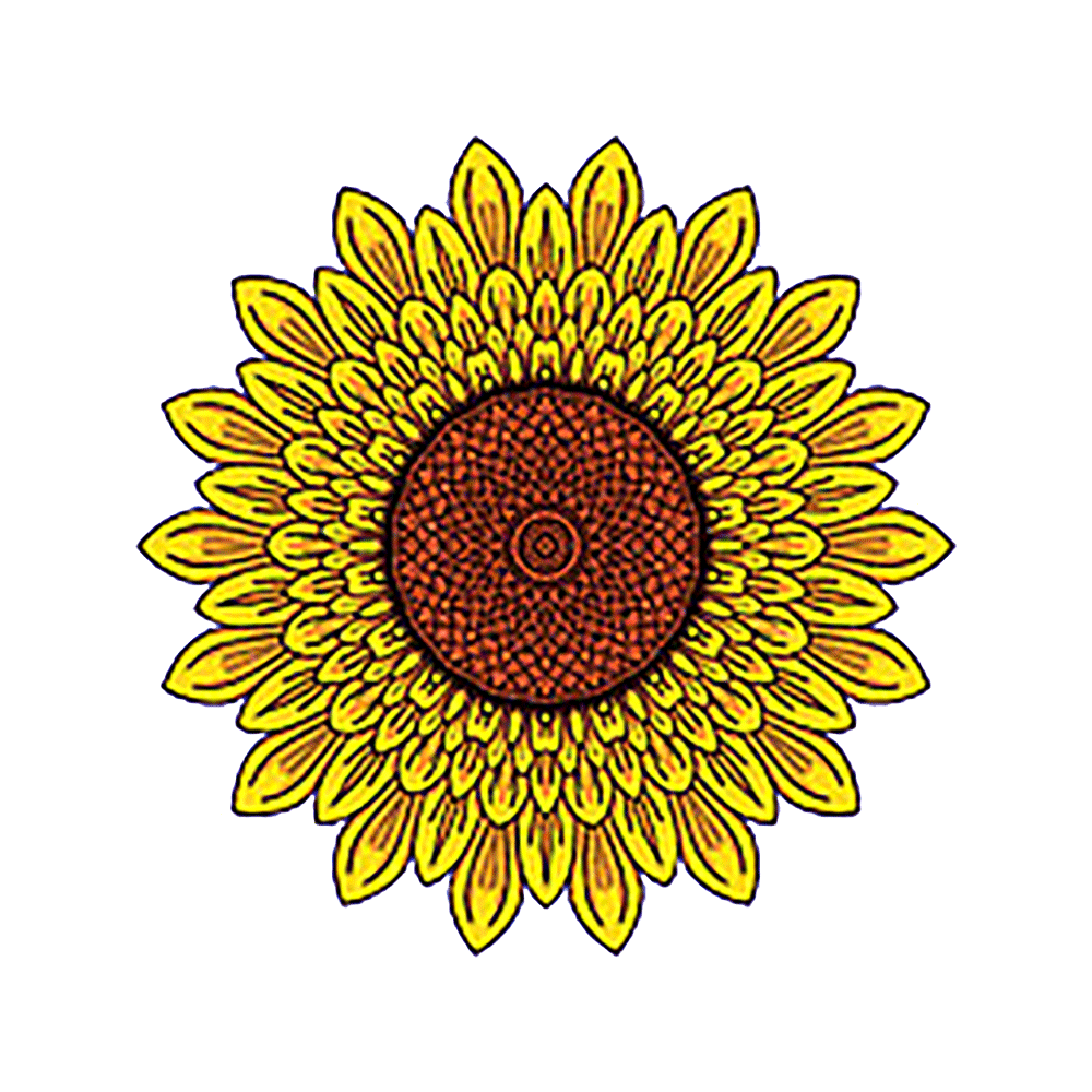 Sunflower Decal