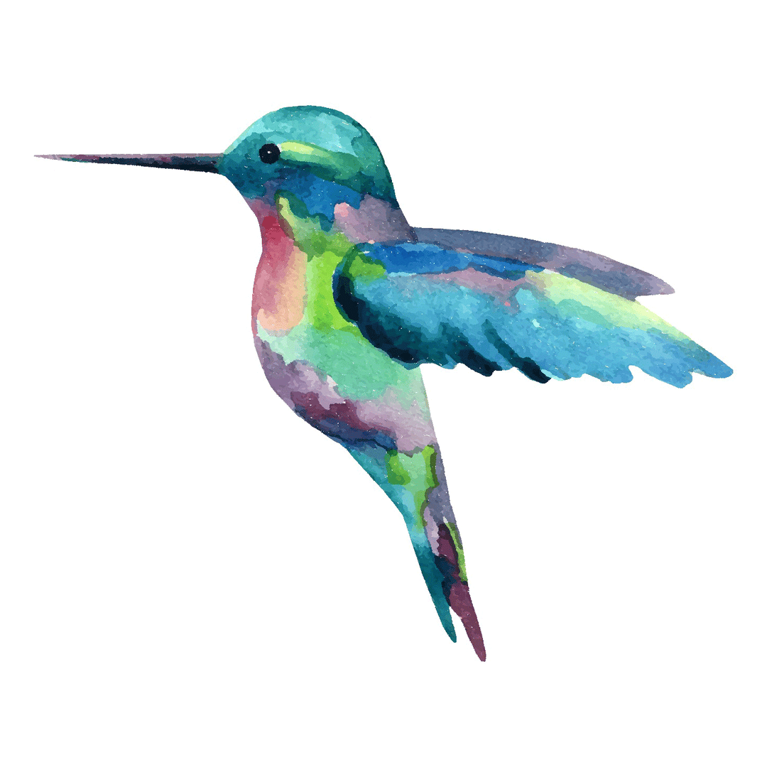 Watercolor Hummingbird Decal