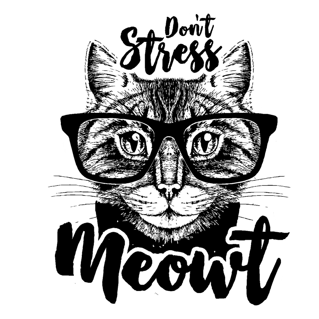 Dont Stress Cat Vinyl Sticker Decal