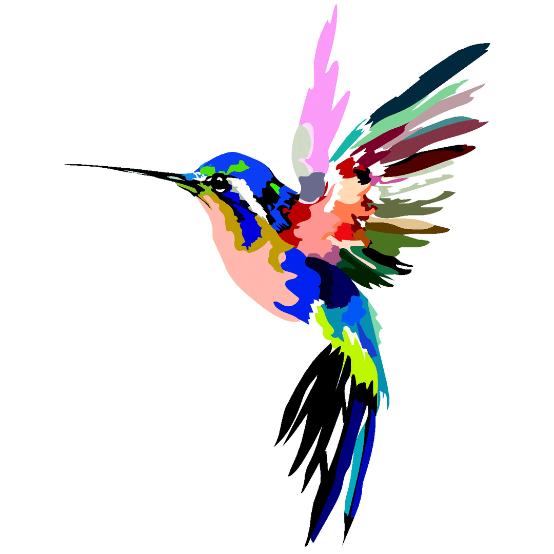 Colorful Hummingbird Vinyl Sticker Decal