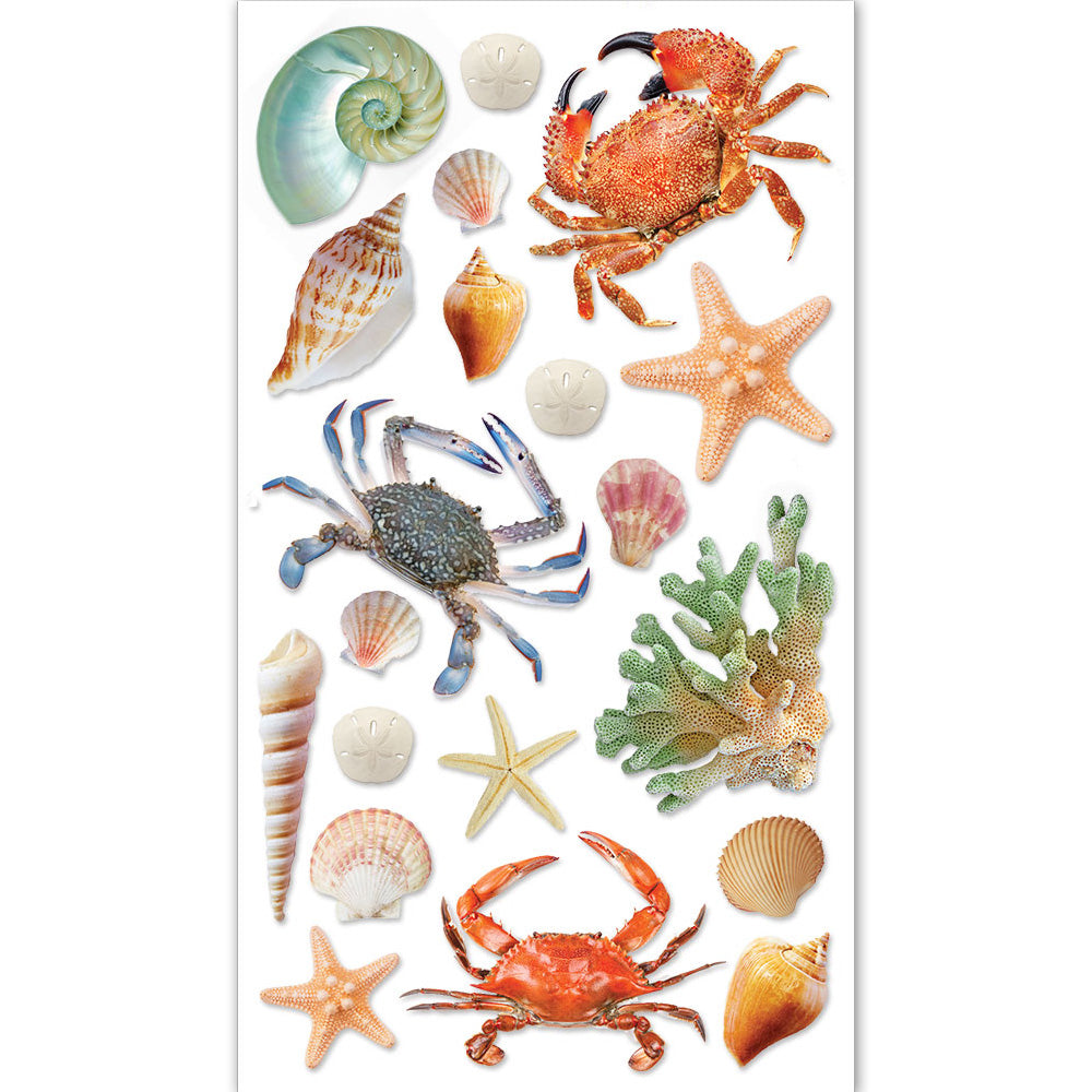 Shells 3-D Stickers