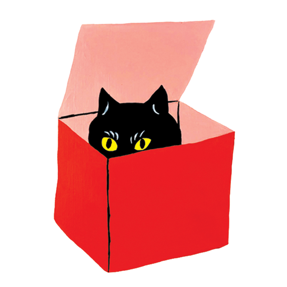 Cat In A Box Temporary Tattoo