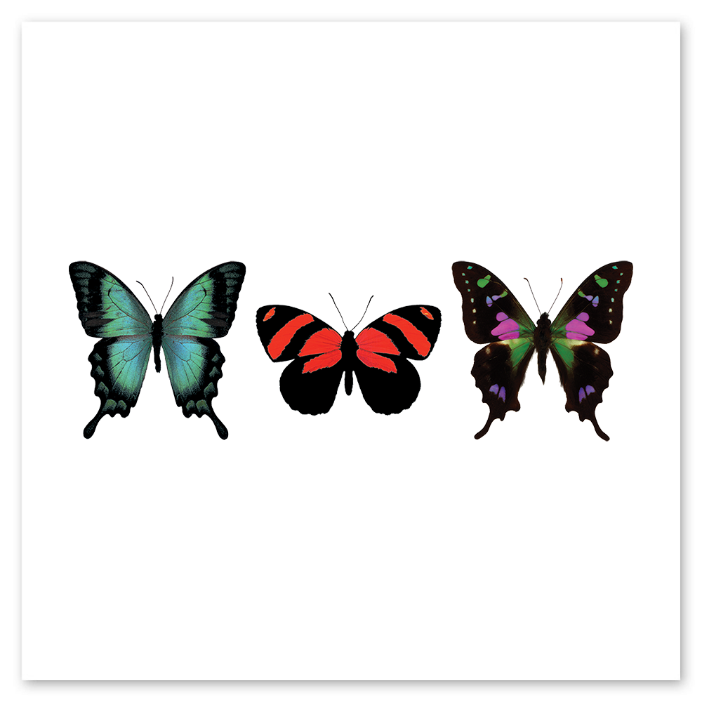 Tattly Temporary Tattoos - Thumbnail 5