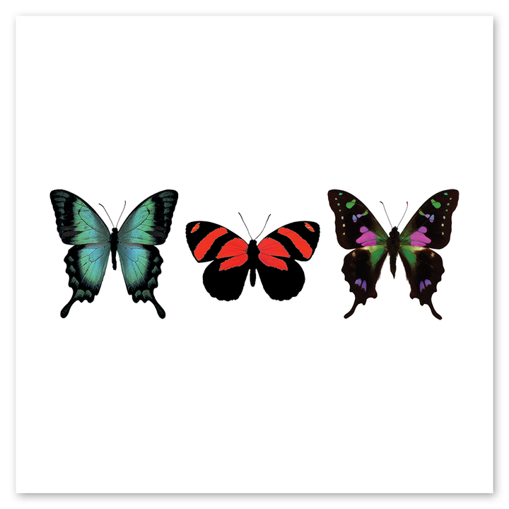 Butterfly Trio Tattly Temporary Tattoos