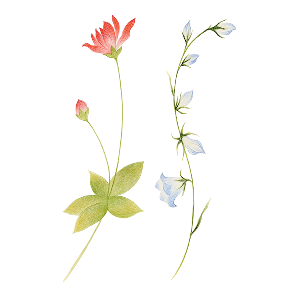 Spring Sprigs Tattly Temporary Tattoos