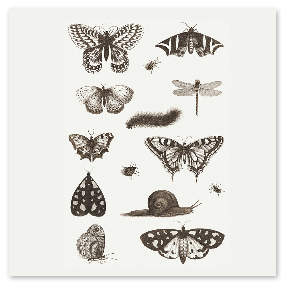 Black And White Insects Tattly Temporary Tattoo Sheets