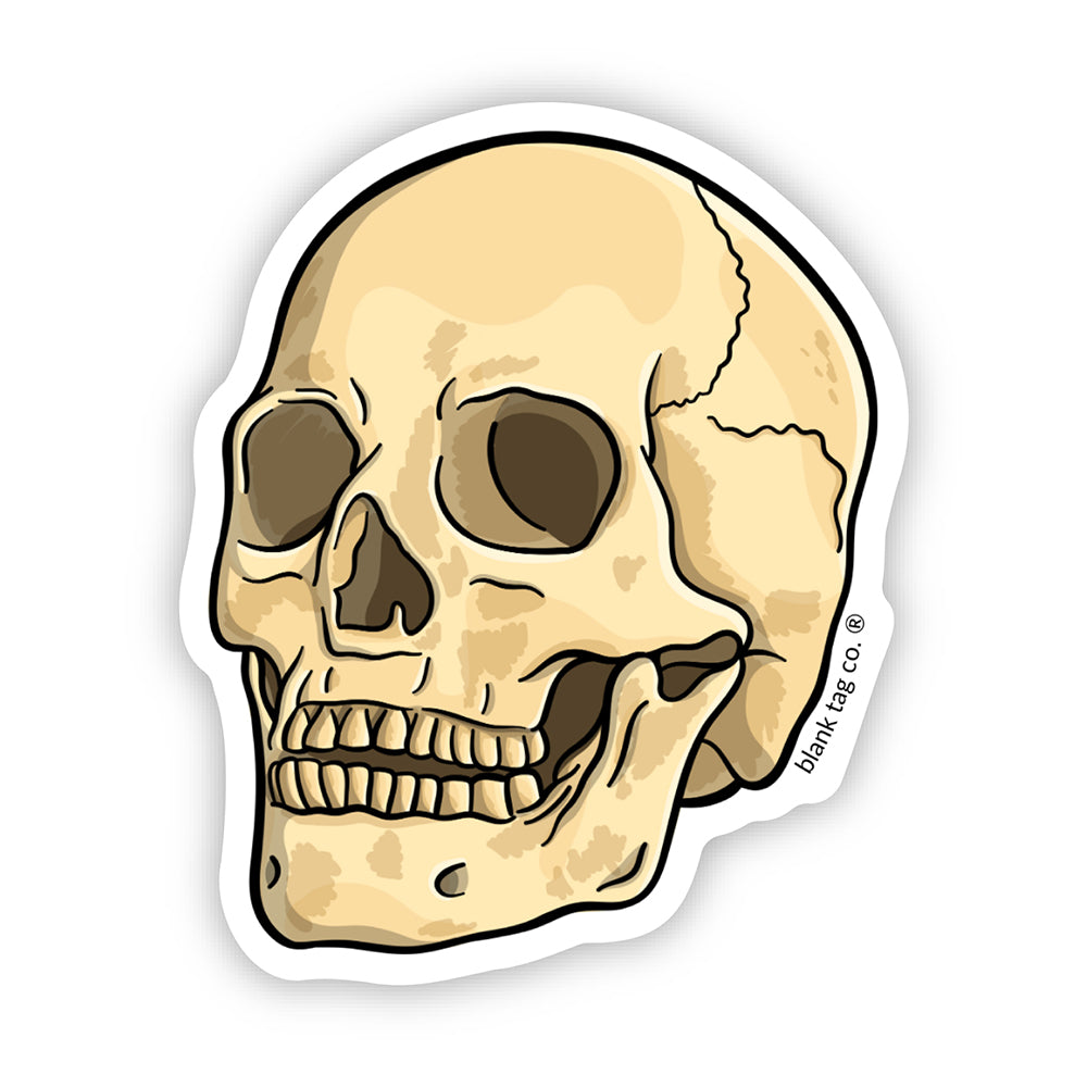 The Anatomical Skull Vinyl Sticker Decal