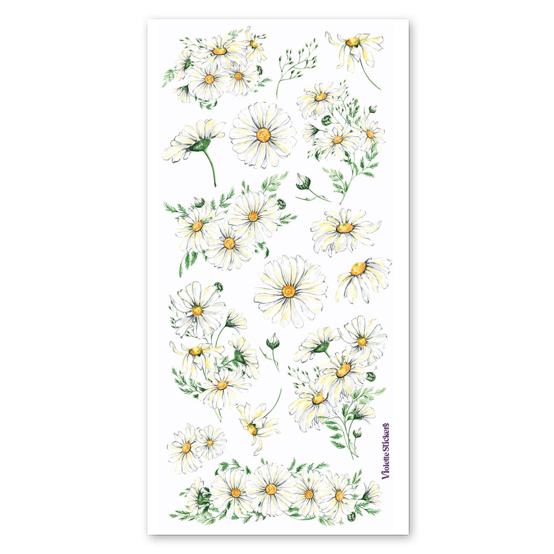 Daisies Stickers