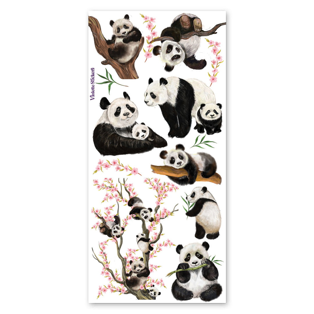 Pandas and Cherry Blossom Branches Stickers