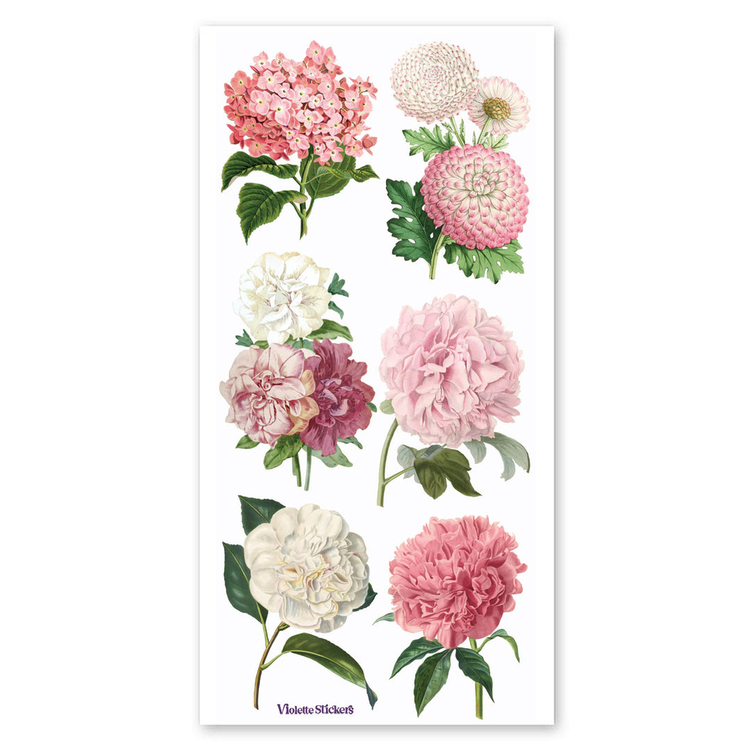 Pink Peonies Stickers