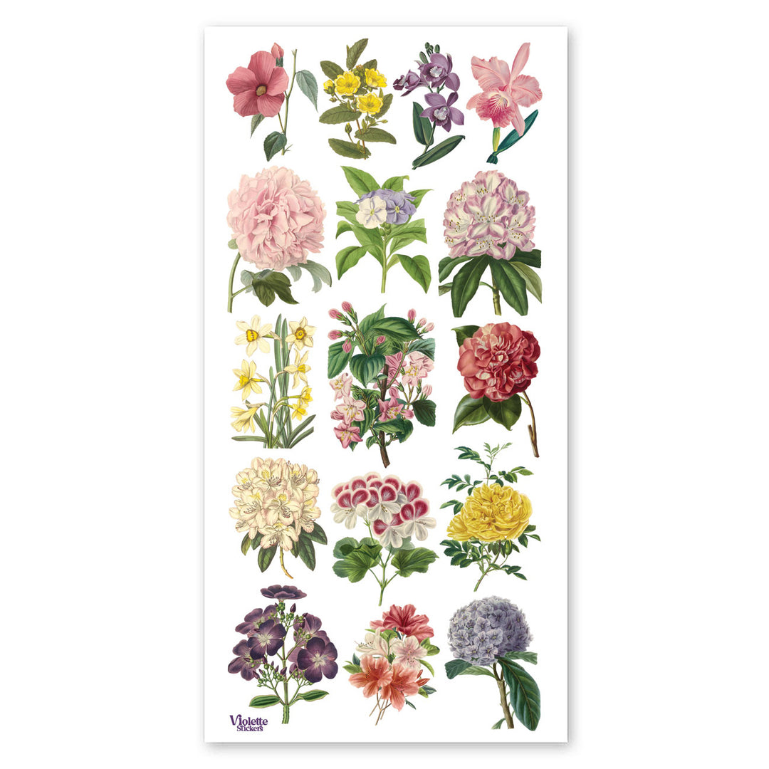 Encyclopedia Florals Stickers
