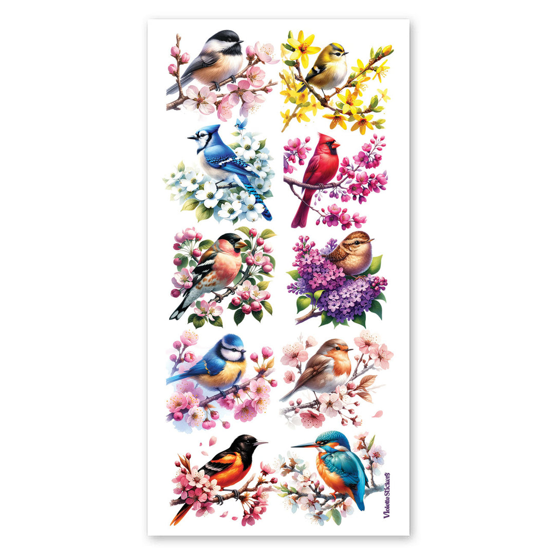 Colorful Birds Stickers