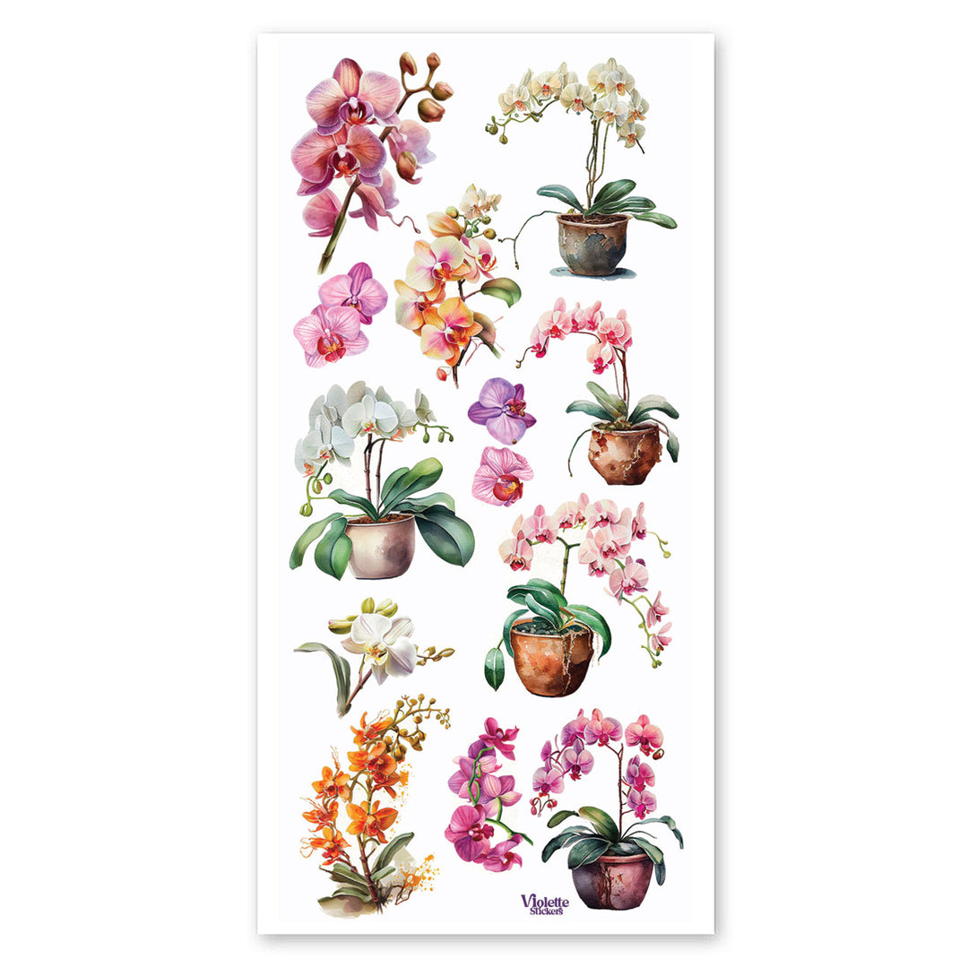 Potted Orchids Stickers