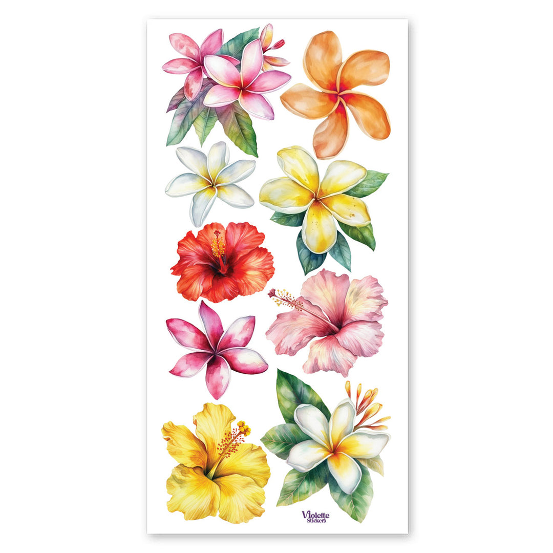 Hawaiian Blooms Stickers