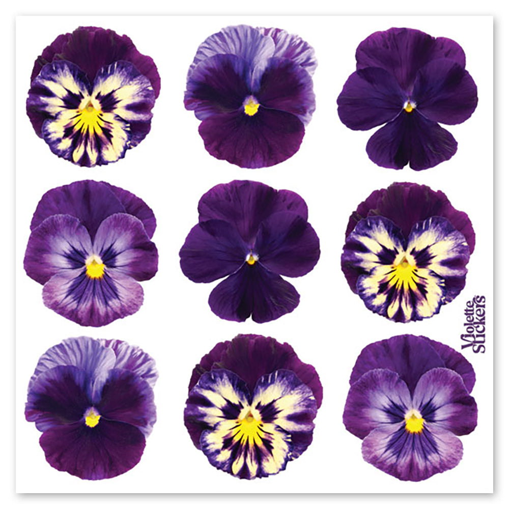 Purple Pansy Stickers