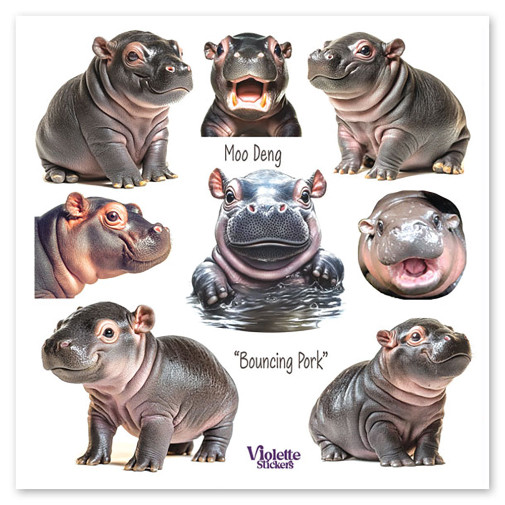 Moo Deng Hippo Stickers