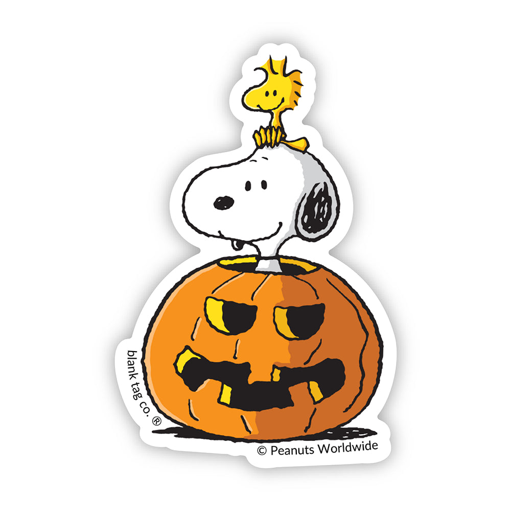 The Snoopy And Woodstock in a Pumpkin Vinyl Sticker Decal