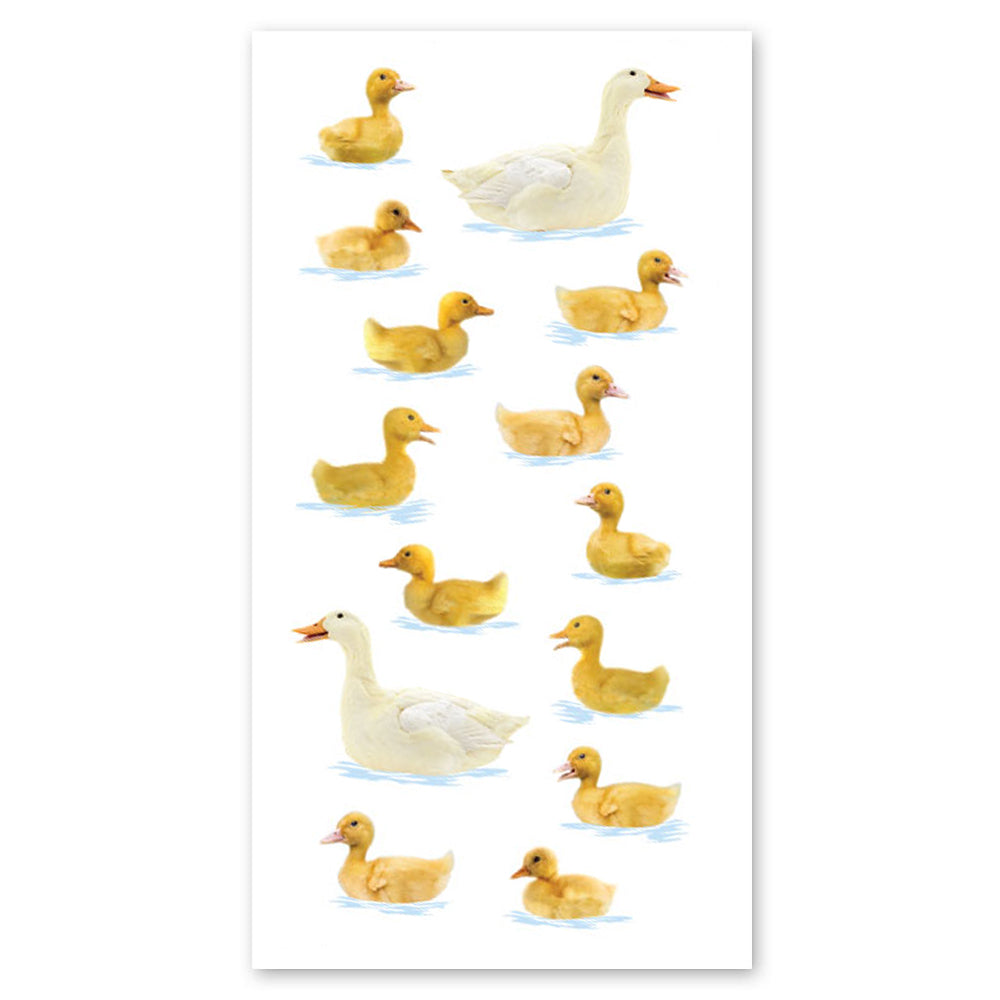 Ducks Swimming Stickers