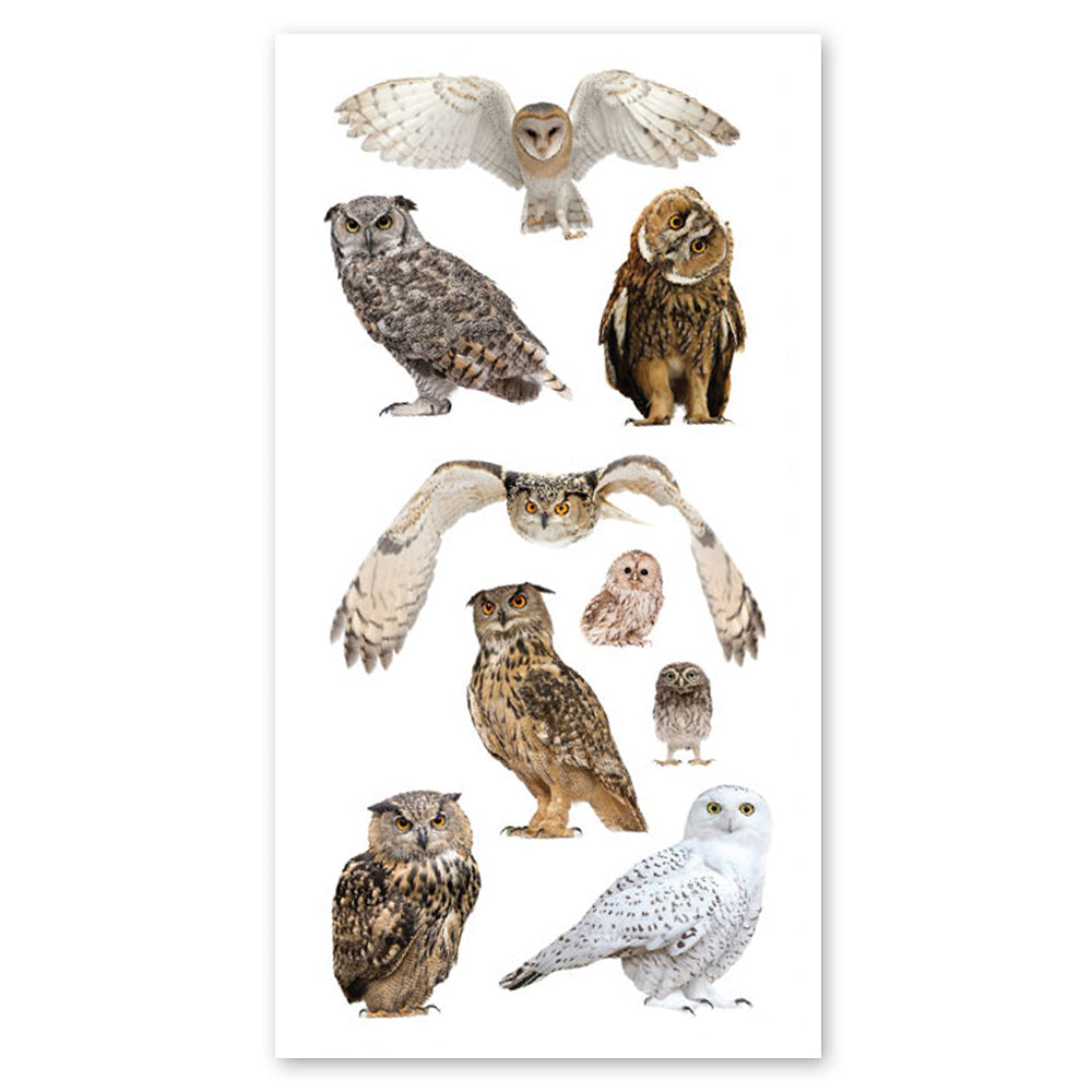 Owls Photographic Stickers