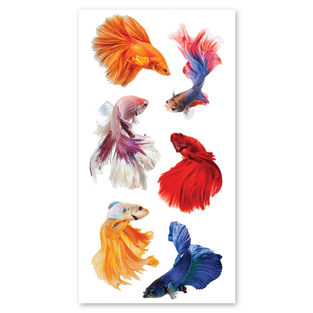 Betta Fish Stickers 