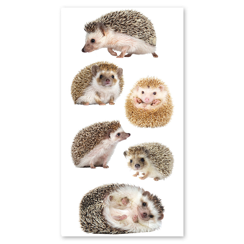 Hedgehogs Stickers