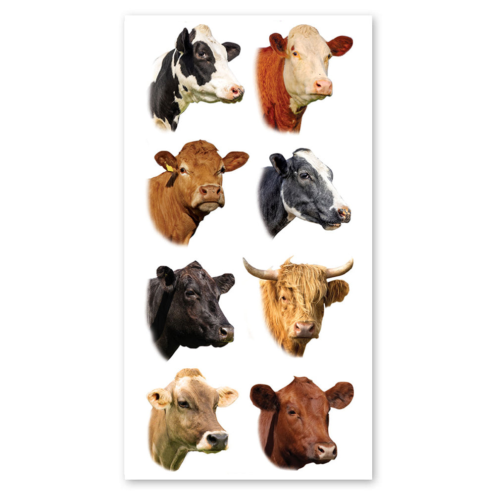 Cows Stickers
