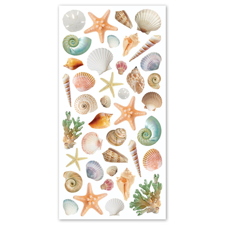 Shell Effect Sticker Beach Stickers & Seashell Stickers | Sticker Planet