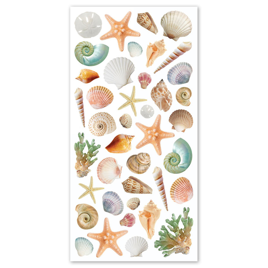 Shell Sticker Beige Beach Stickers & Seashell Stickers | Sticker Planet